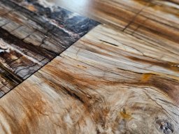 Brushed Petrified Wood Plank Flooring